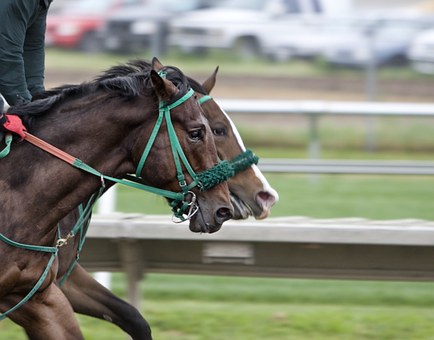 race track betting